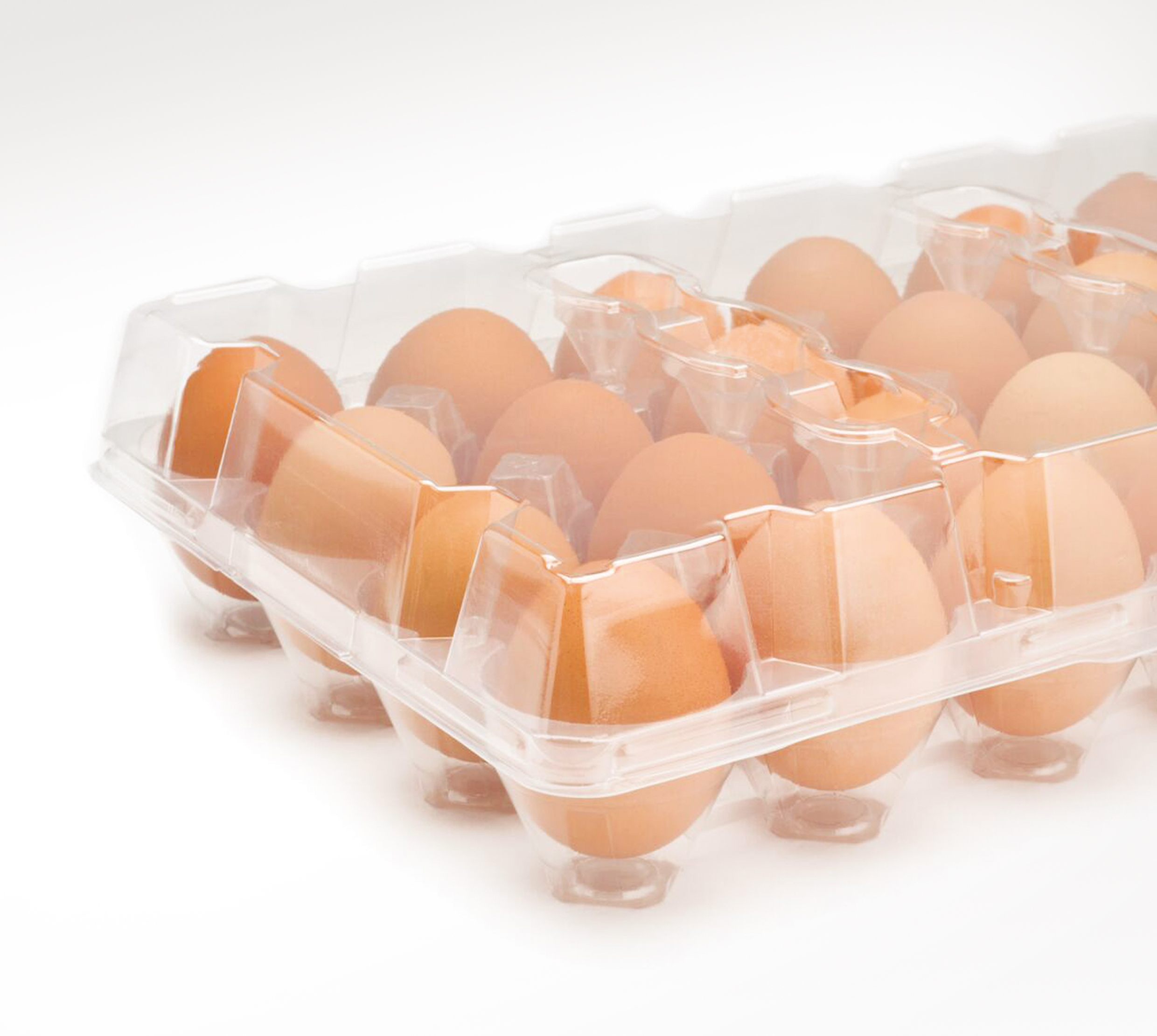 Egg Tray